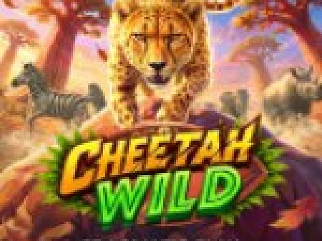 Cheetah Wild