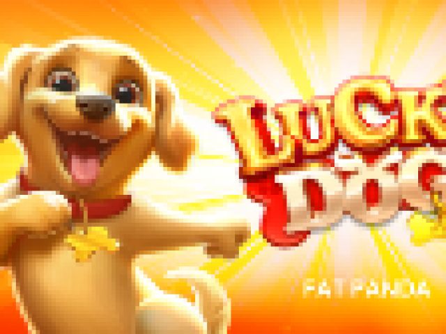 Lucky Dog
