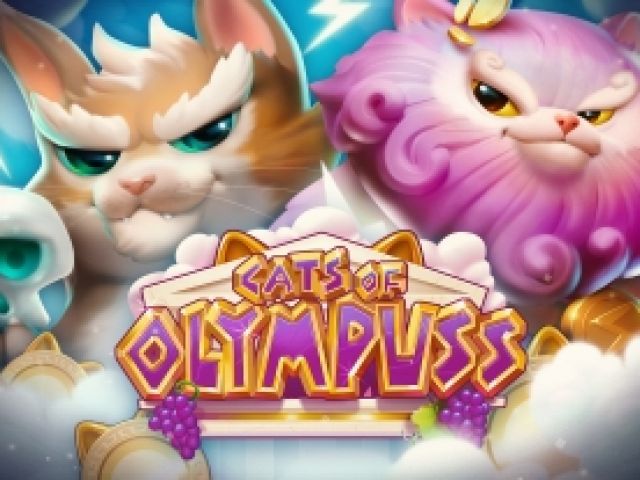 Cats of Olympuss