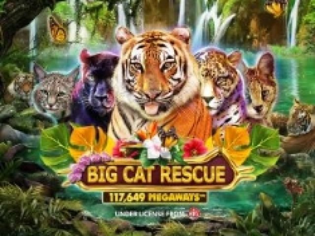 Big Cat Rescue Megaways