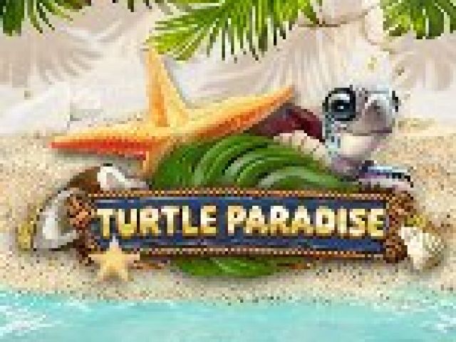 Turtle Paradise