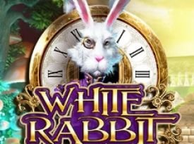 White Rabbit