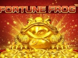 Fortune Frog