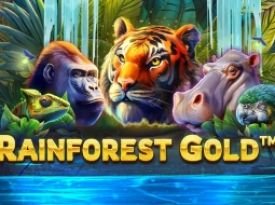 Rainforest Gold™