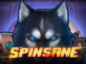 Spinsane