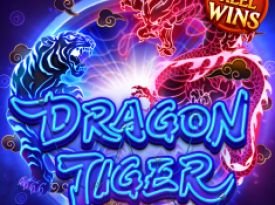 Dragon Tiger Luck