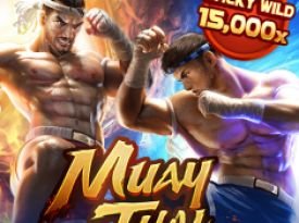 Muay Thai Champion