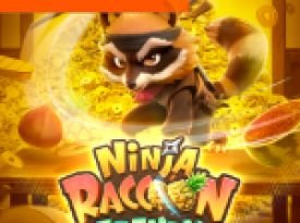 Ninja Raccoon Frenzy 