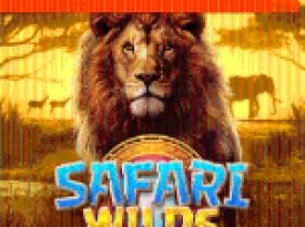 Safari Wilds  