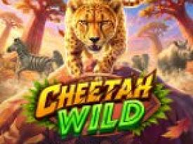 Cheetah Wild