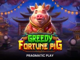 Greedy Fortune Pig