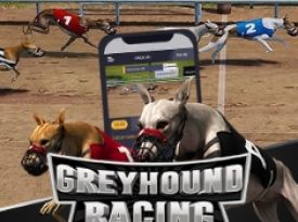 Greyhound Racing
