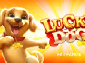 Lucky Dog