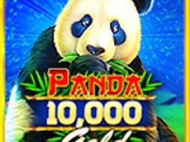 Panda Gold™ 10,000