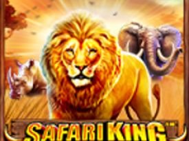 Safari King™