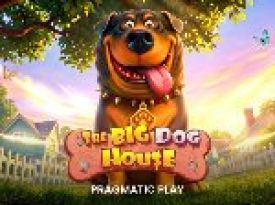 The Big Dog House