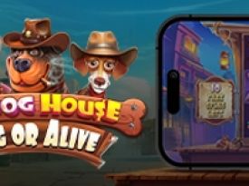 The Dog House – Dog or Alive