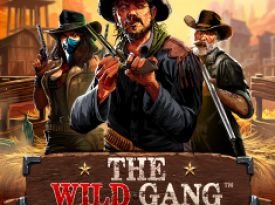 The Wild Gang