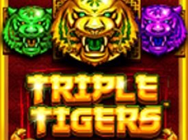 Triple Tigers™