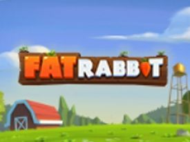 Fat Rabbit