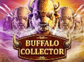 Buffalo Collector