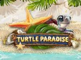 Turtle Paradise