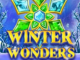 Winter Wonders