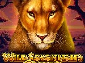 Wild Savannah's Queen