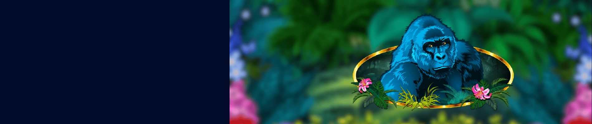 Juegos favoritos